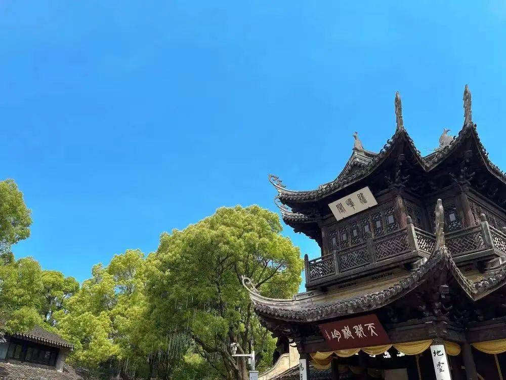 约惠时光 | 不是每个人都“惠”浪漫，但是它“惠”