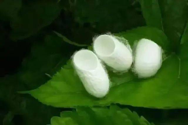 小满：知进退，知清净