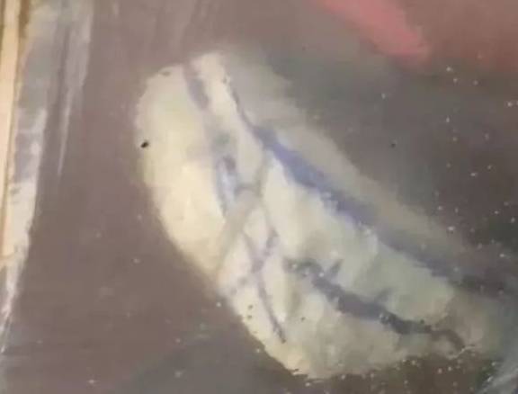100万缅币在瓦城淘的翡翠原石，切开后满心欢喜，下一个就是你！