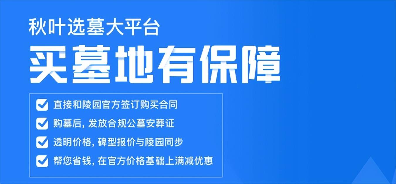 秋叶网丨买墓地需要注意什么？