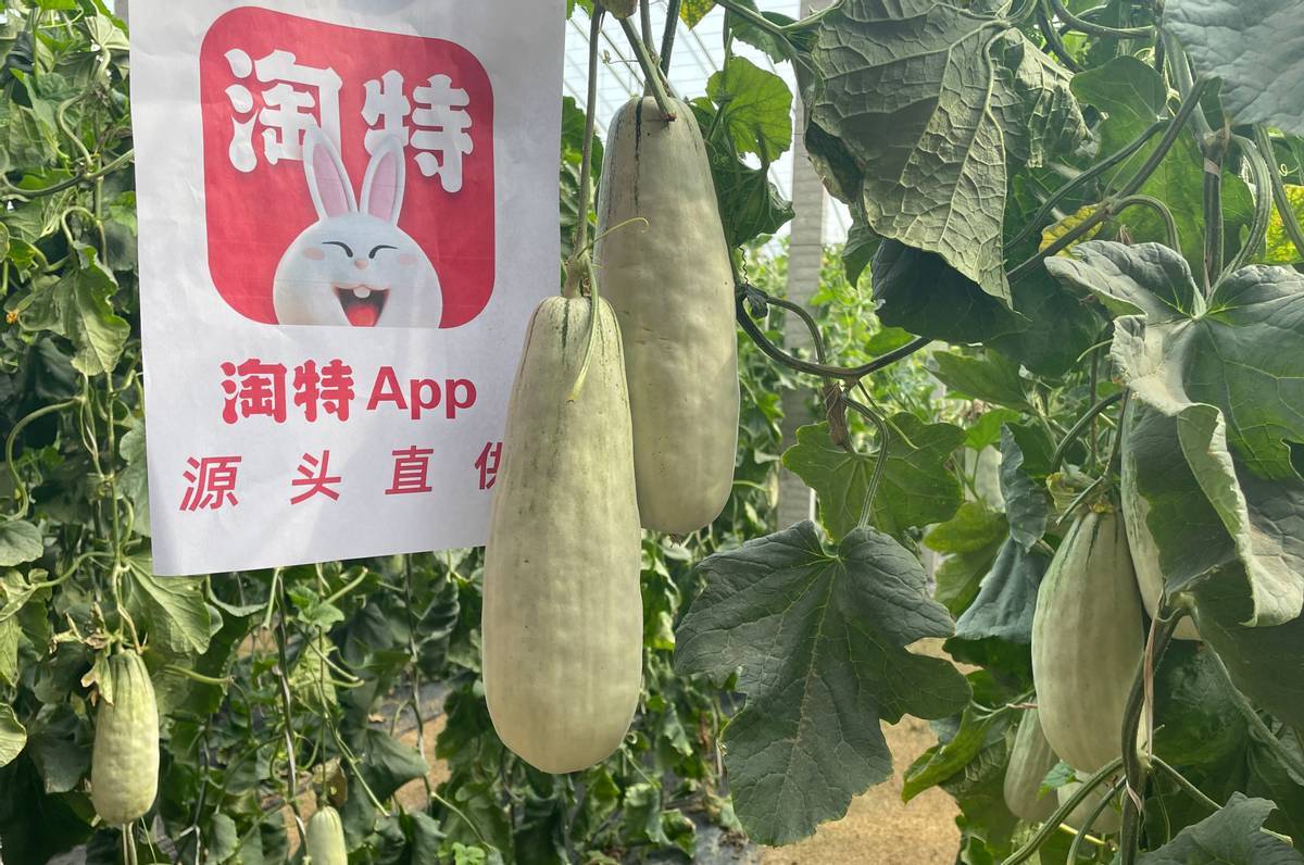 3亿人都在买的淘特！淘特用户增速迅猛