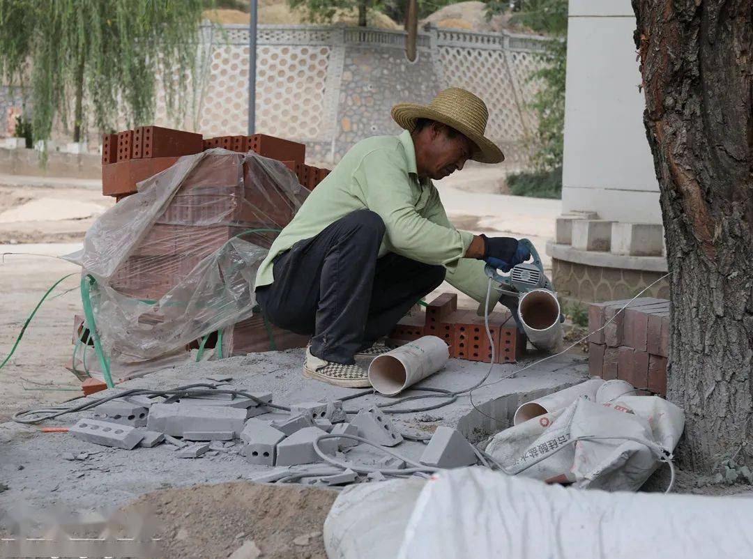 礼辛镇：复工复产复商复市按下“快进键”