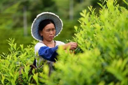 丹寨万达小镇成立运营5年，万达帮扶丹寨实现完美蜕变！
