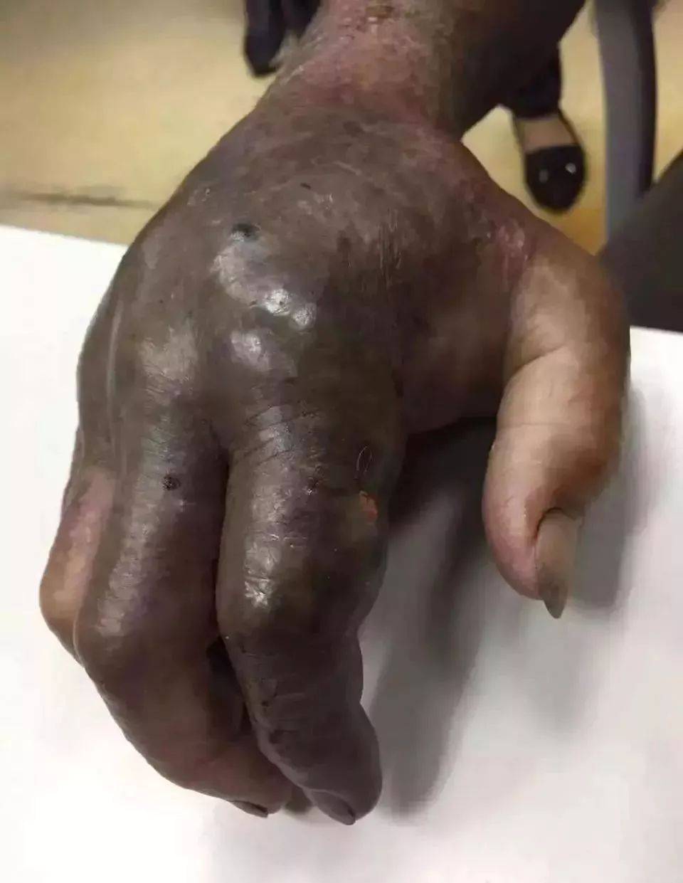 捕蛇只是顺带，玩蛇才是关键，蛇獴的“与蛇共舞”
