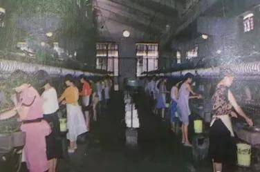四川武胜上半年生丝出口总额实现3000万元人民币 武胜造“川丝”正在找回昔日荣光
