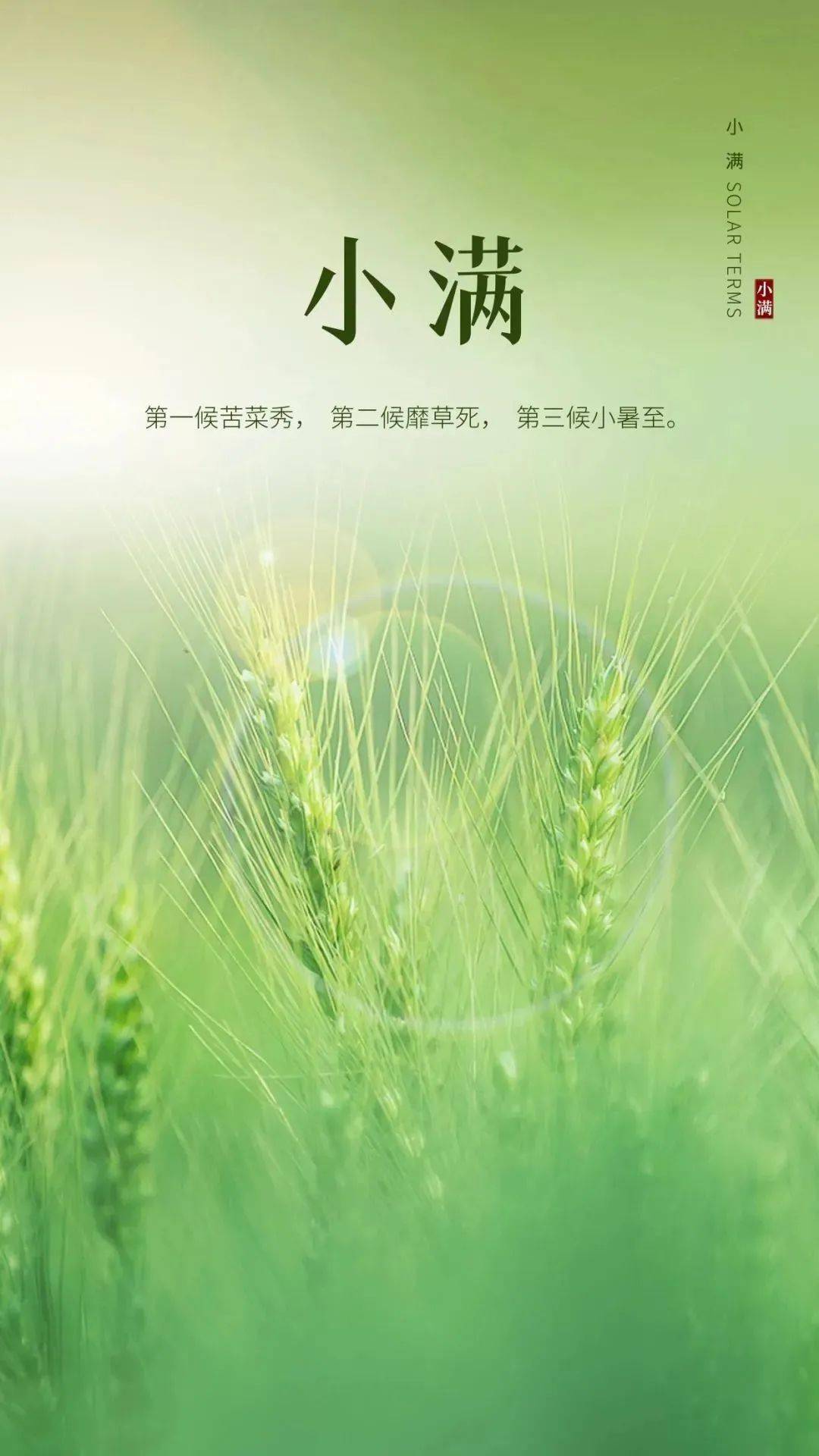 小满特辑 | 微信海报展