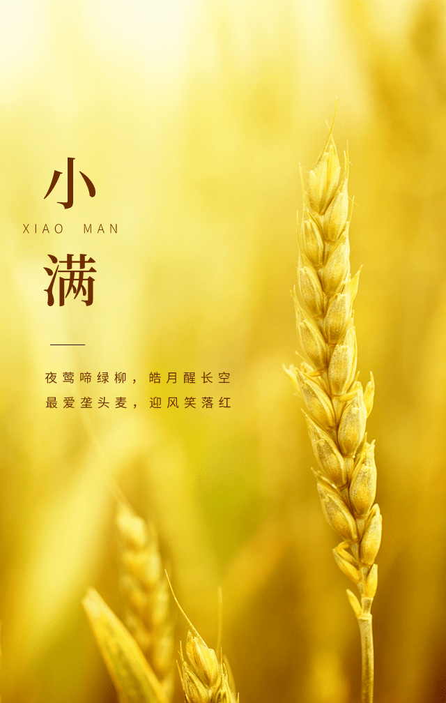 小满特辑 | 微信海报展