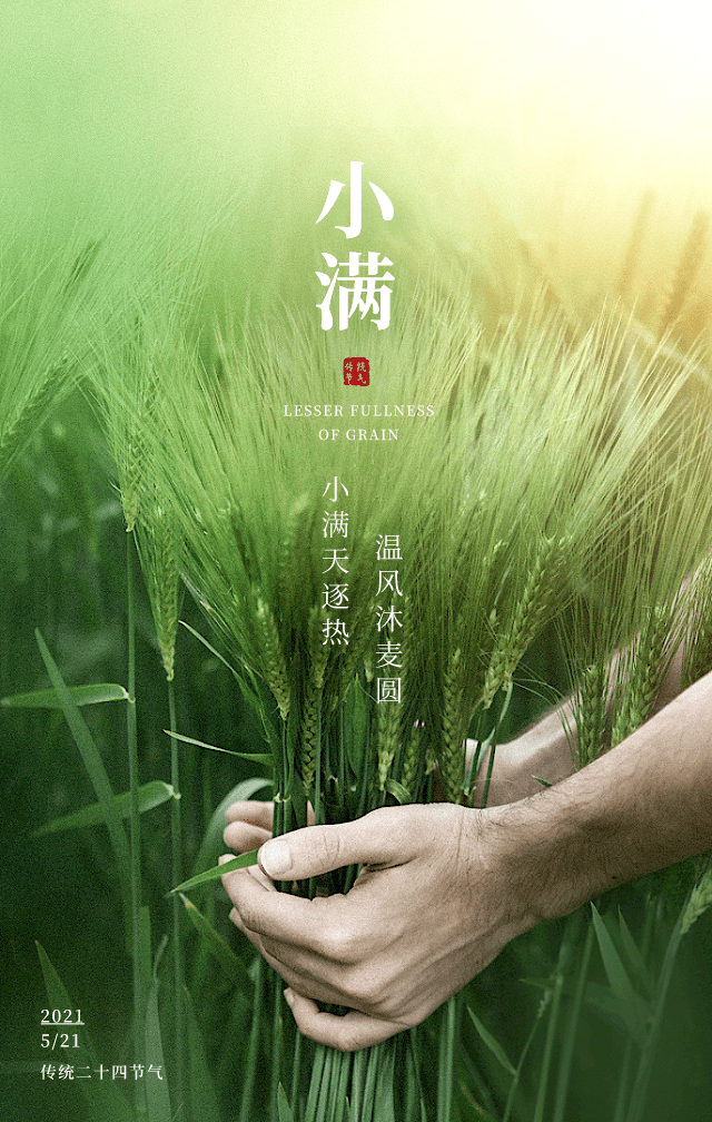 小满特辑 | 微信海报展