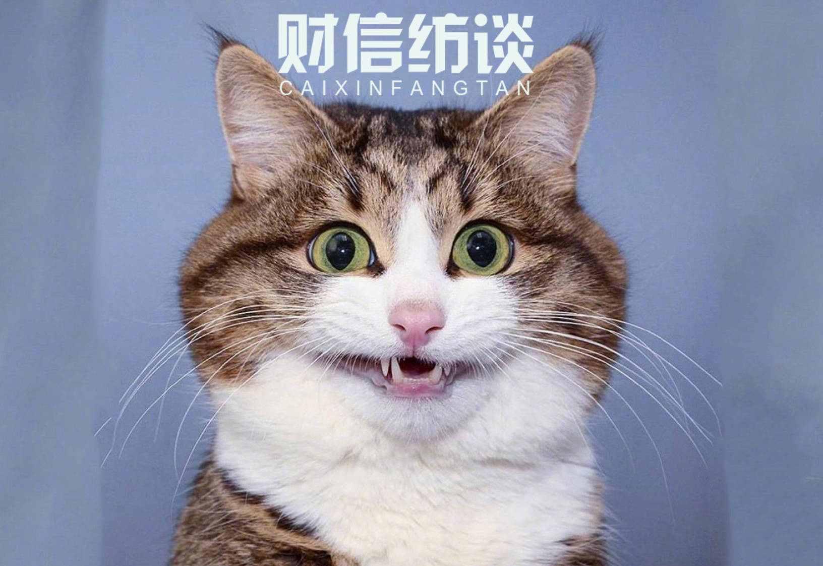 山西信托-信海36号济宁任城