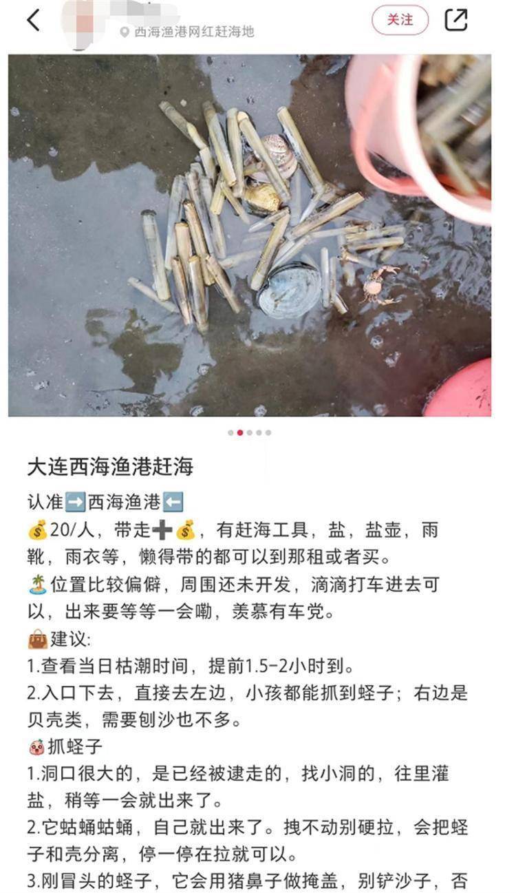 大连一网红赶海地浮桥断裂游客被困，官方：无人受伤