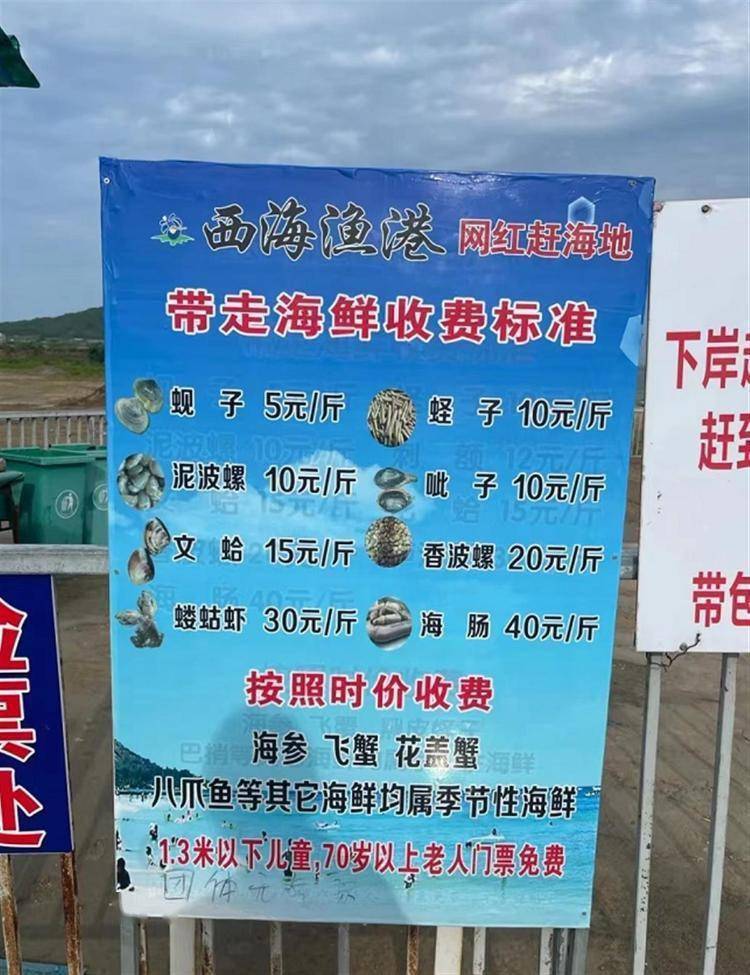 大连一网红赶海地浮桥断裂游客被困，官方：无人受伤