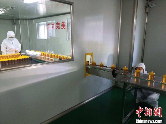 “蜂蜜之乡”青州开春忙酿“甜蜜事业”