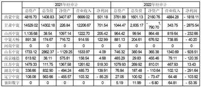 北京四维图新科技股份有限公司 关于全资子公司为孙公司 提供财务资助的公告