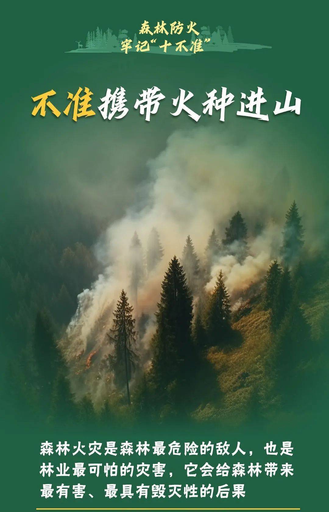 已致4名消防员遇难！多地进入“灾难状态”