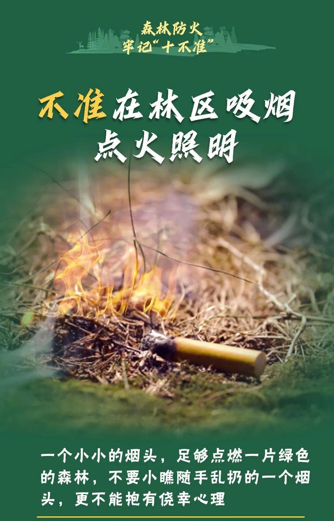 已致4名消防员遇难！多地进入“灾难状态”