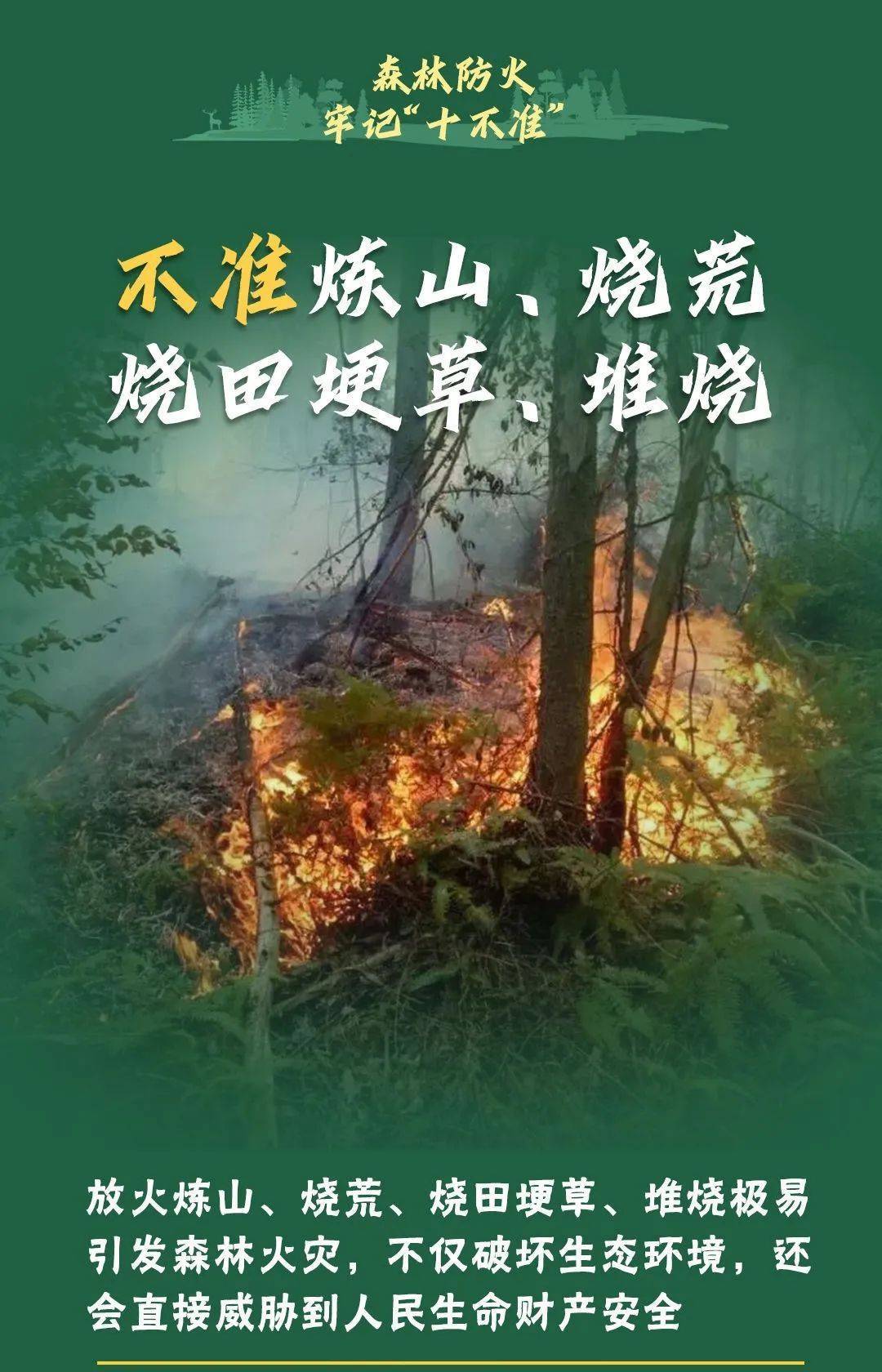已致4名消防员遇难！多地进入“灾难状态”