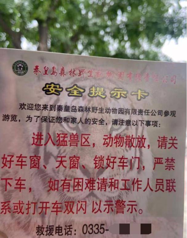 惊险！野生动物园内，两车剐蹭，车主下车沟通老虎一旁围观