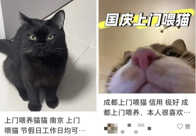 这个需求激增！一男子连接270单，其中一笔收费8100元