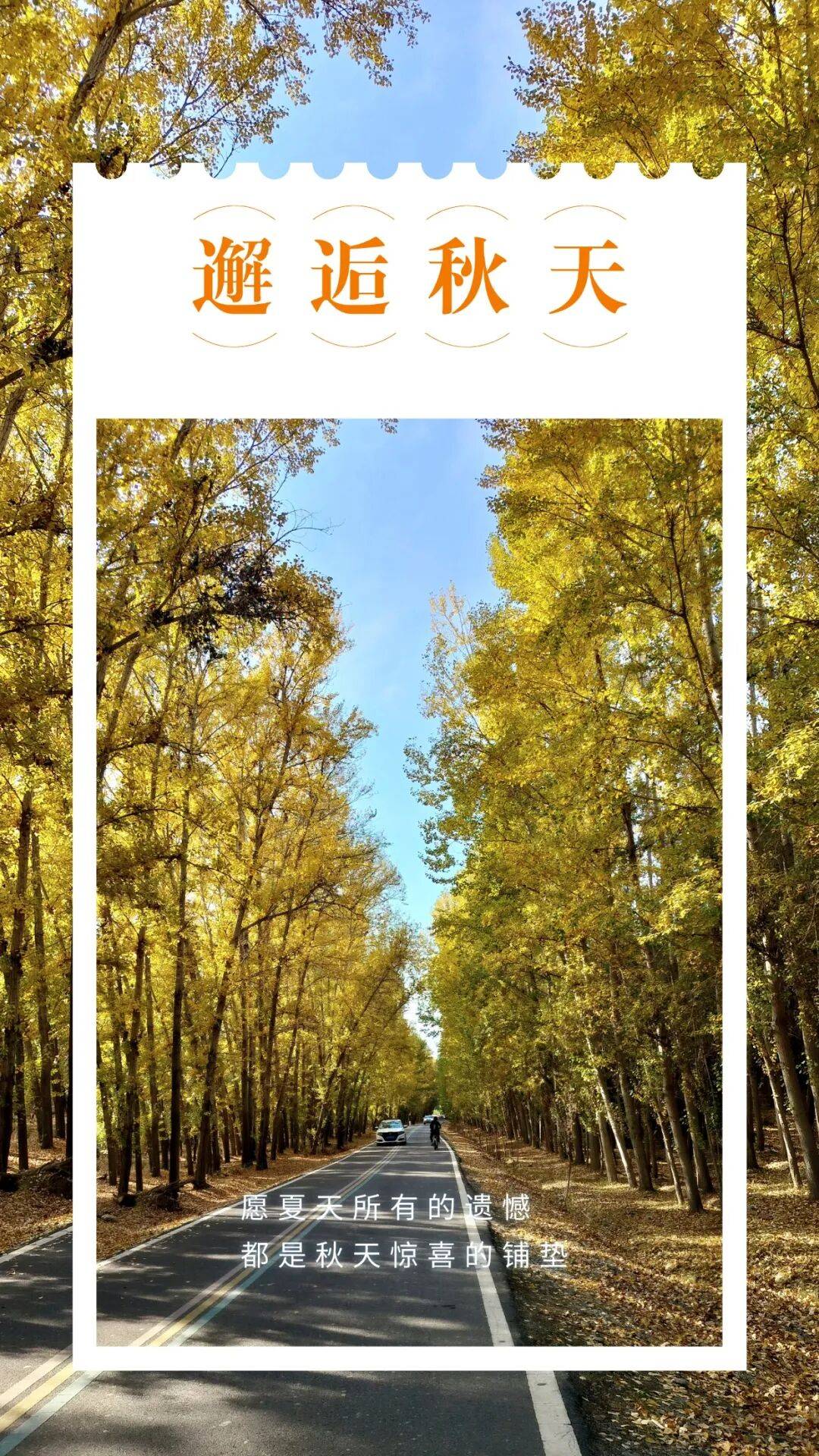 邂逅博州的秋天，从从容容游刃有余