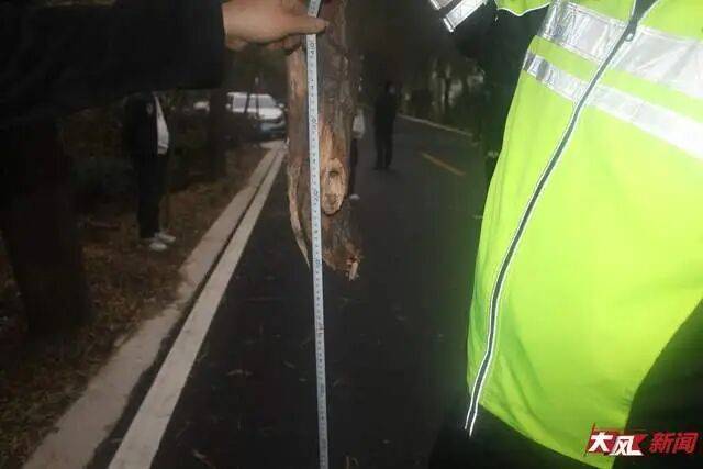 陕西兴平56岁女教师骑电动车“撞树枝”身亡，交警判定担主责，家属提出诸多质疑，多方回应