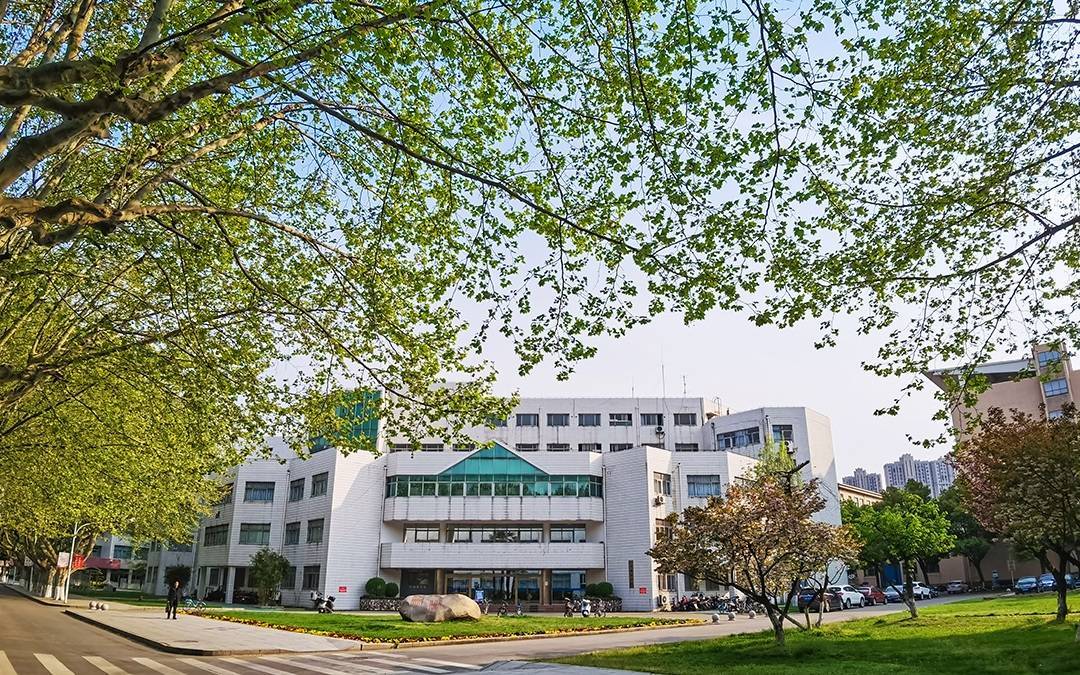 校领导何以成了“首席科学家”专利合作者？|新京报快评