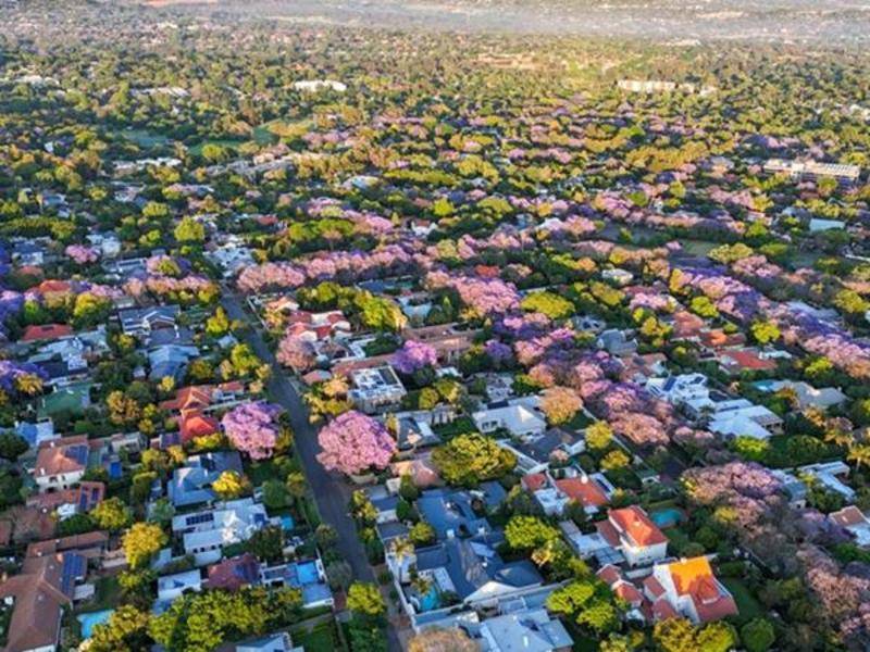 热点追踪｜第二十次G20峰会