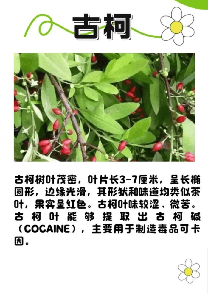 悬赏1500万美金！前奥运选手涉多起案件，被列入十大通缉犯