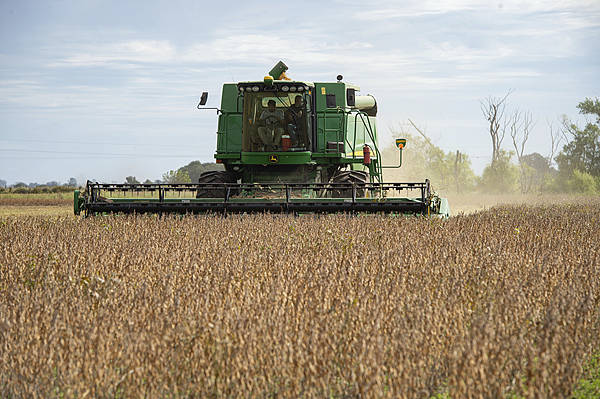 自上世纪90年代以来，中国首次购买阿根廷小麦