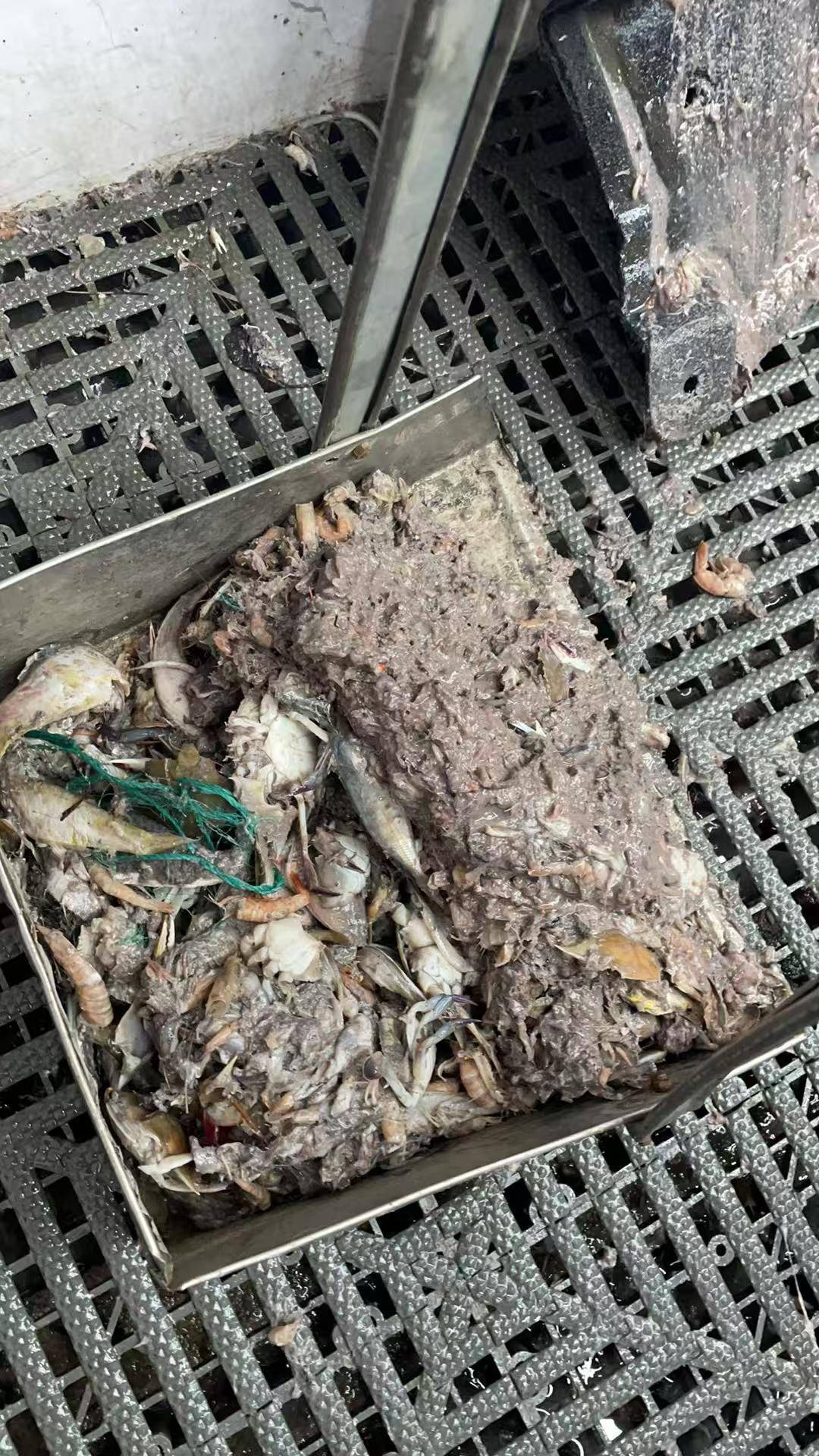 紫牛头条｜40余车辆遭高速海鲜废料“臭袭”，交警称“非交通事故”，车主维权陷两难